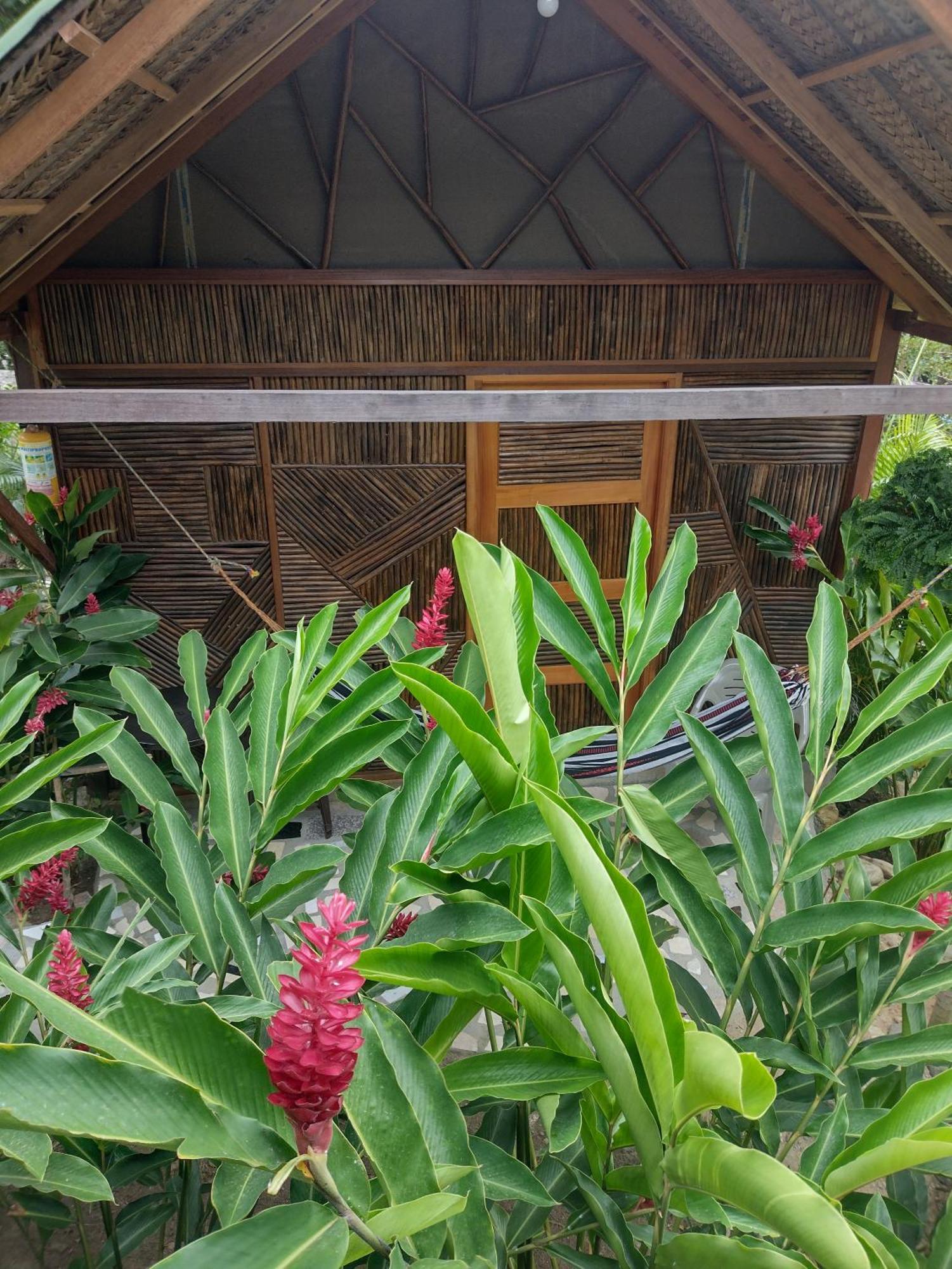 Casa Kumake Tayrona Vila El Zaino Exterior foto